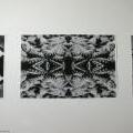 FUD-UJEP_2012_111