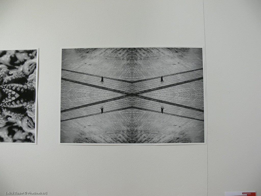 FUD-UJEP_2012_112