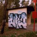 Feom11