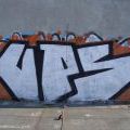 Feom13