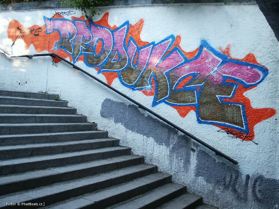 Haje_10