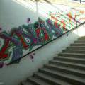 Haje_20