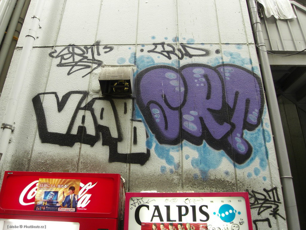 Japonsko2011_005