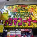 Japonsko2011_009