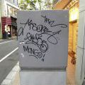 Japonsko2011_012