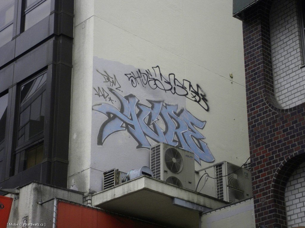 Japonsko2011_013