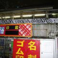 Japonsko2011_036