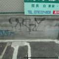 Japonsko2011_057