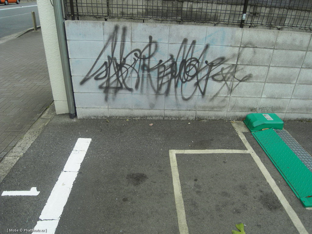 Japonsko2011_063