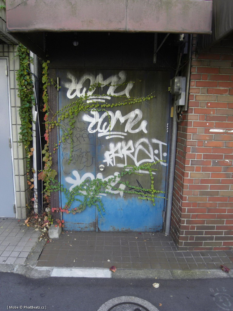 Japonsko2011_070