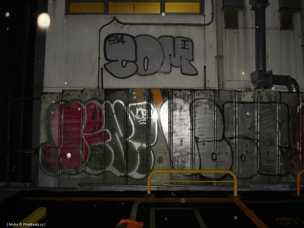 Japonsko2011_120