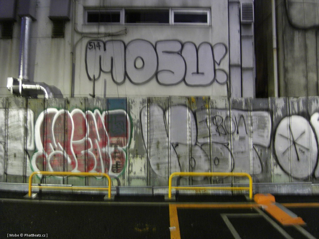 Japonsko2011_121