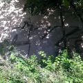 Kobylisy_Holesovice_57
