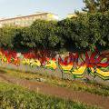 LiveGraff_23