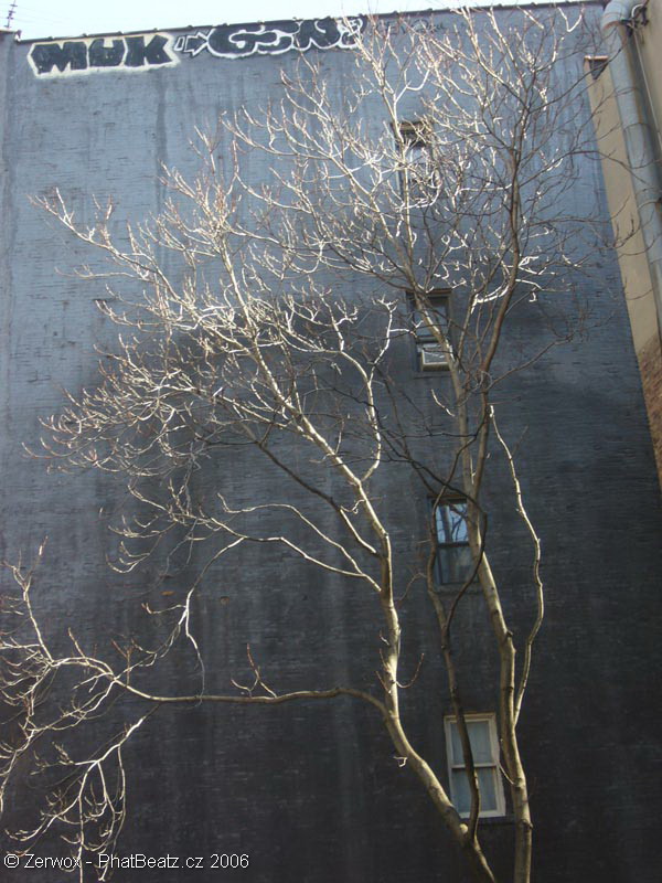 Manhattan_134