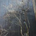 Manhattan_134