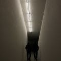 Metropolis_19
