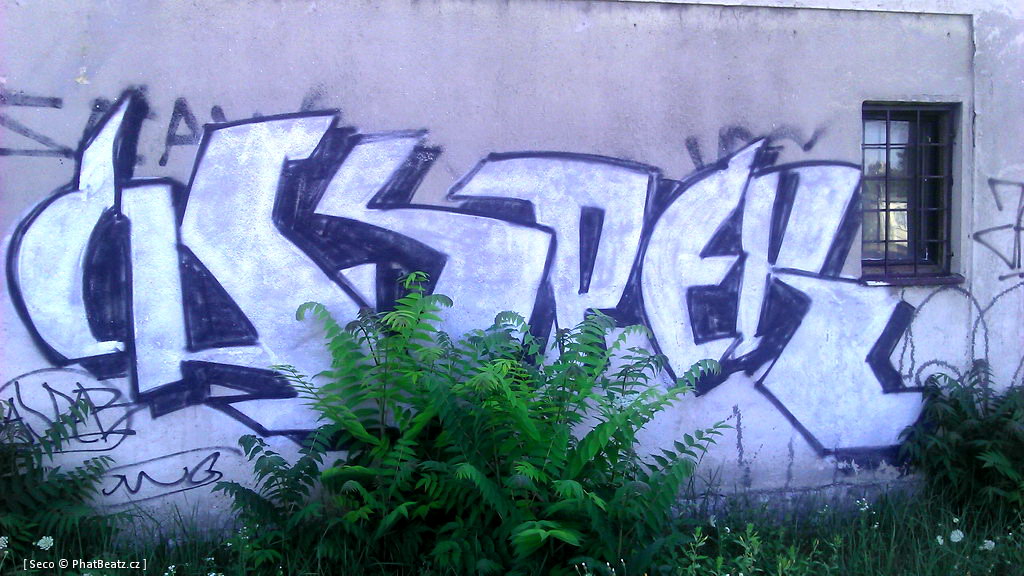 Nadrazi_Bubny_24