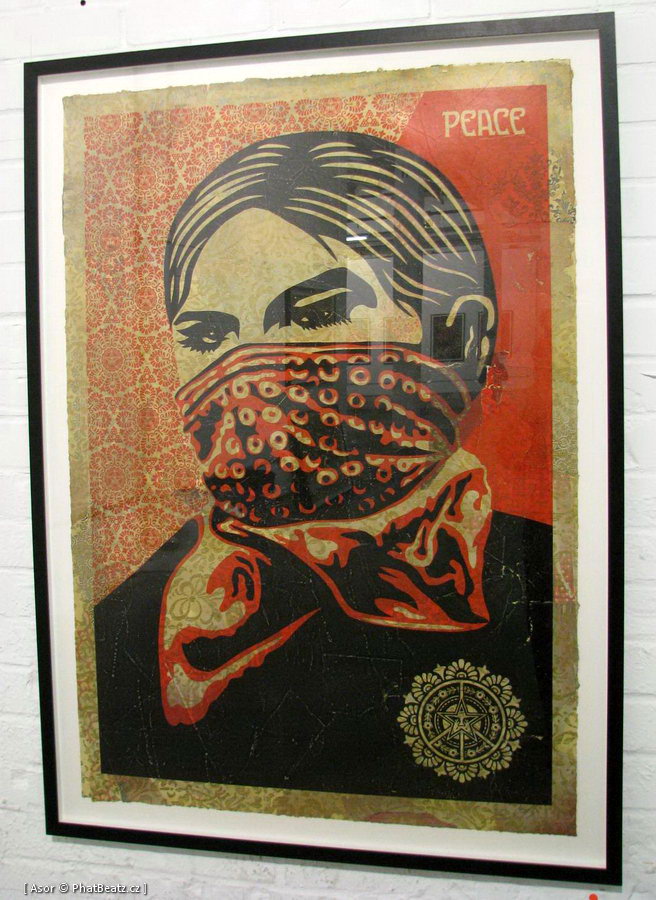 OBEY_Stolenspace_12 OBEY_Stolenspace_12