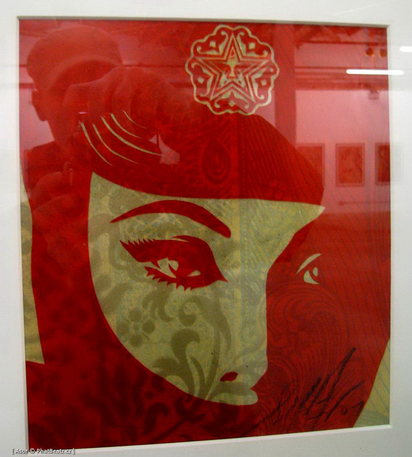 OBEY_Stolenspace_33 OBEY_Stolenspace_33