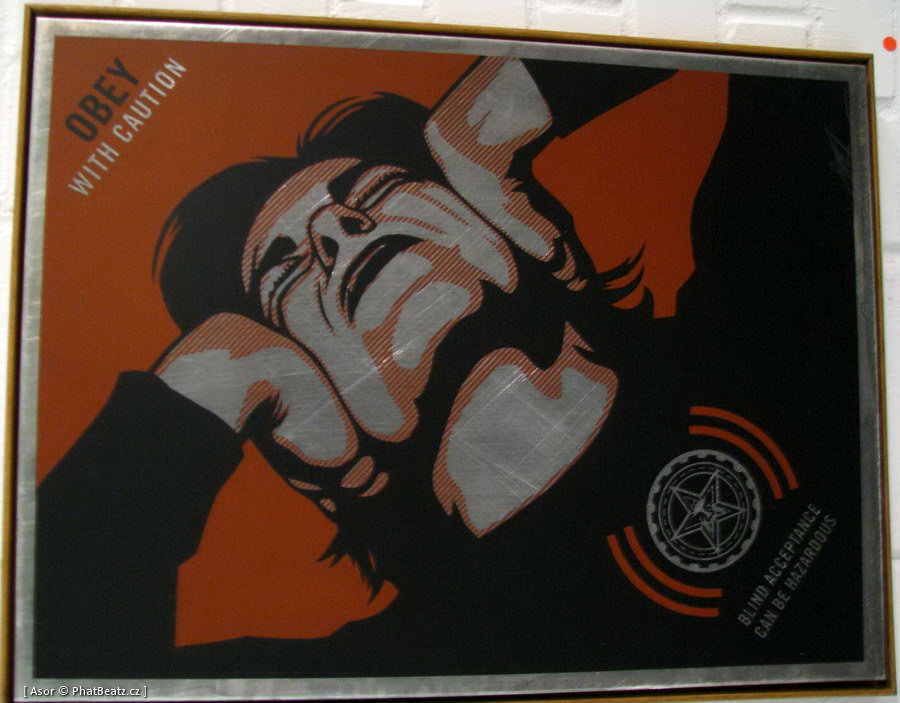 OBEY_Stolenspace_46 OBEY_Stolenspace_46