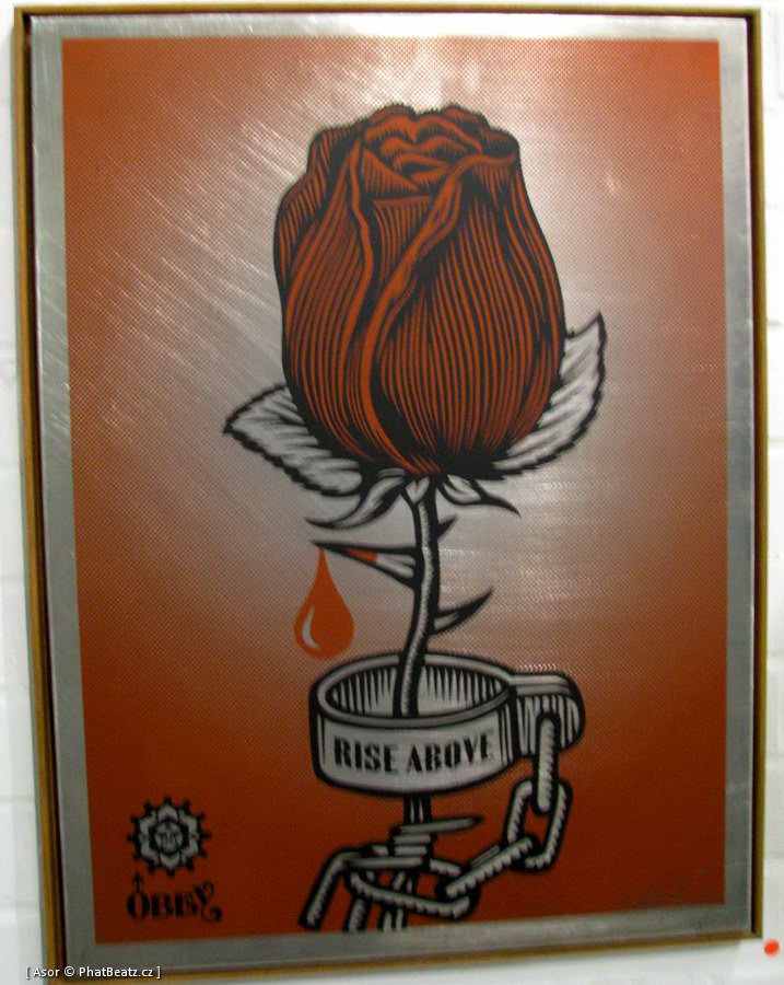 OBEY_Stolenspace_50 OBEY_Stolenspace_50