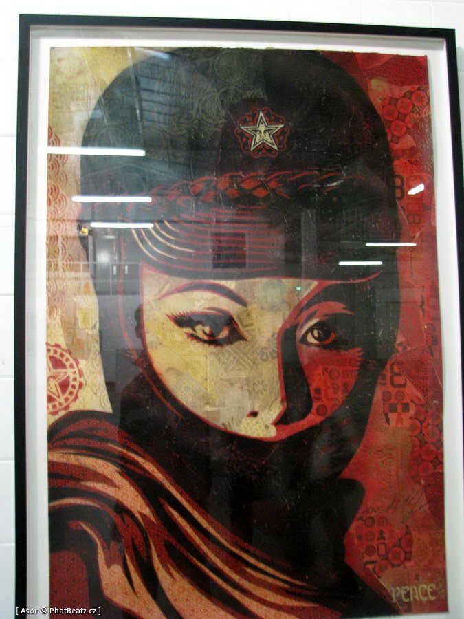 OBEY_Stolenspace_59 OBEY_Stolenspace_59
