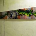 OPTIC_013