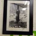 OPTIC_062