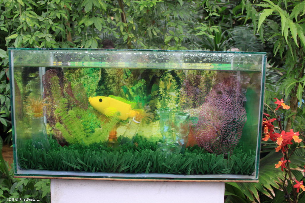 Pet_Tropicana_07