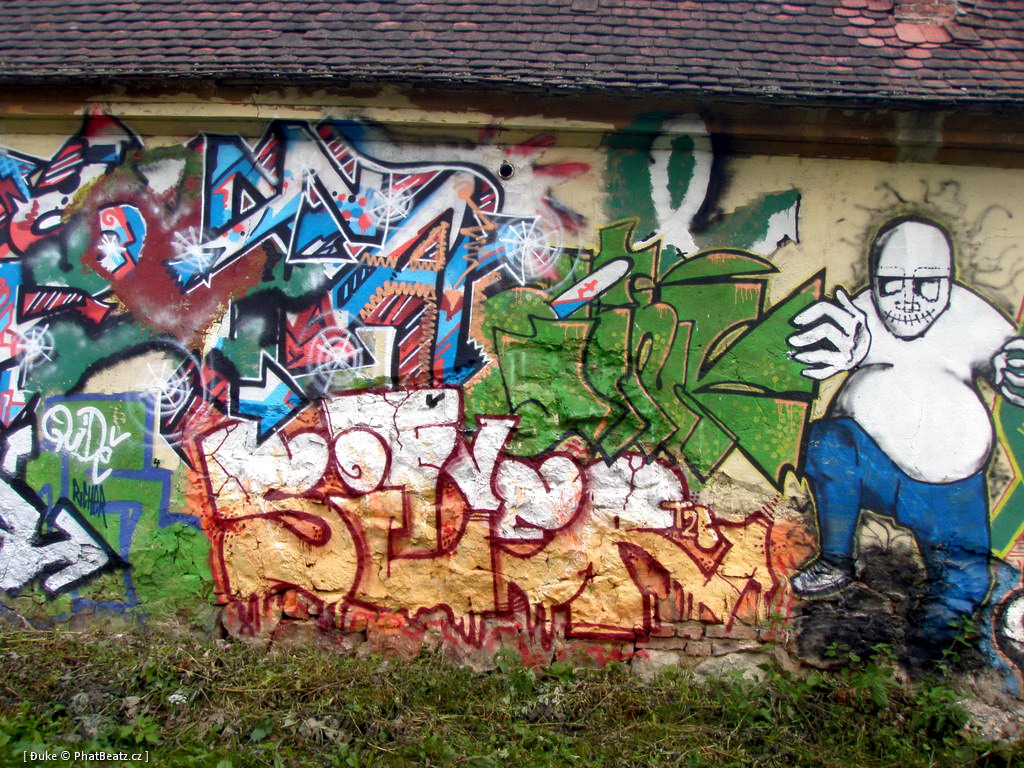PunxPicnic2010_04