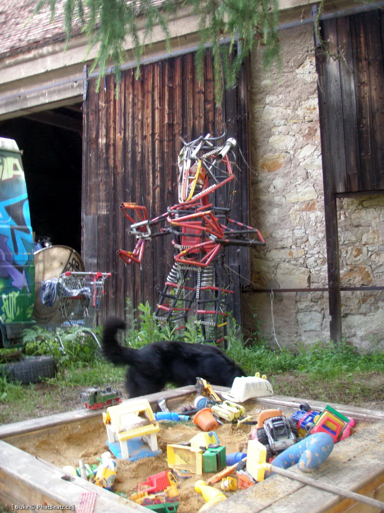 PunxPicnic2010_12