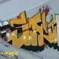 SALIM_07