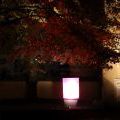 Signal_2013_22