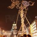 Signal_2013_41
