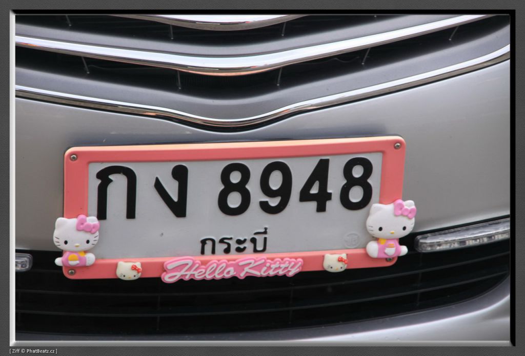 THAILAND2011_126