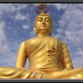 THAILAND2011_151