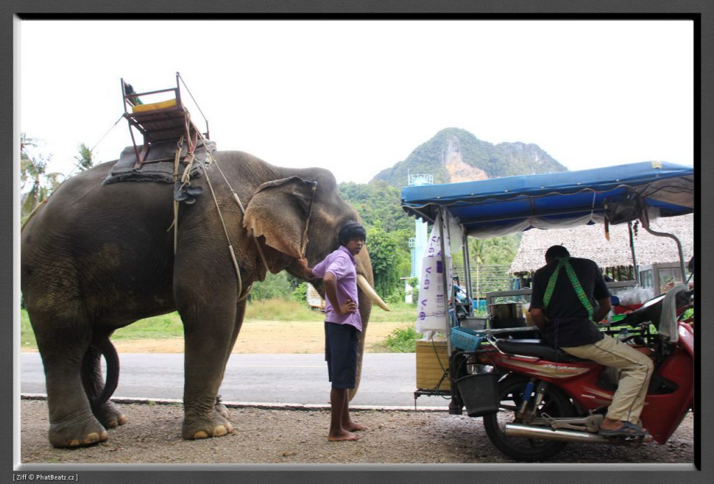 THAILAND2011_156