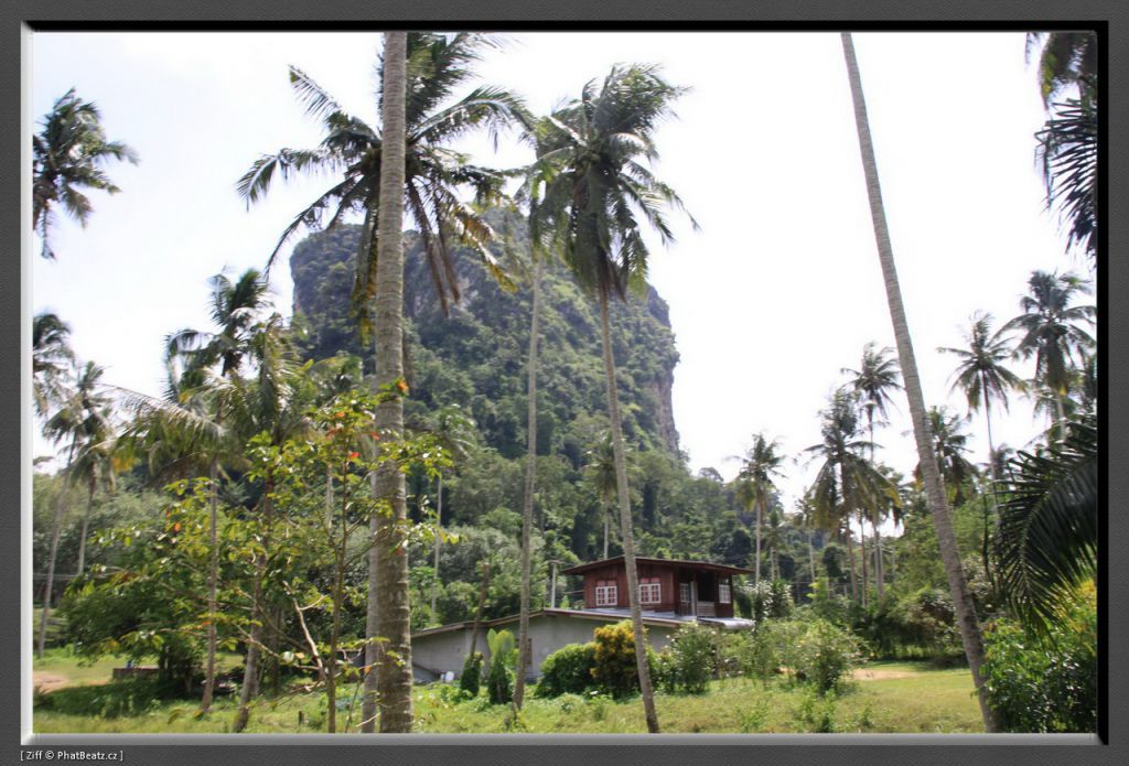 THAILAND2011_159