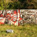 Trebic_18