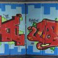 UC2010_NovaVes_55