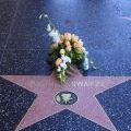 USA-West_013