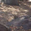 USA-West_033