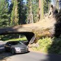 USA-West_041