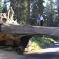 USA-West_042