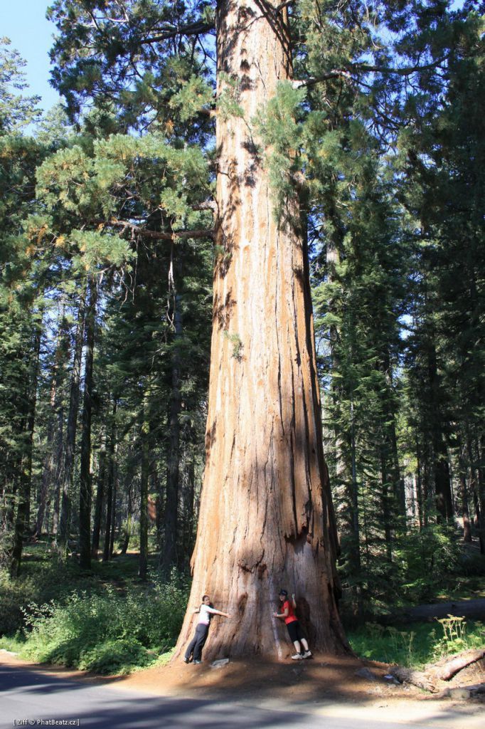 USA-West_044