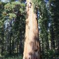 USA-West_044