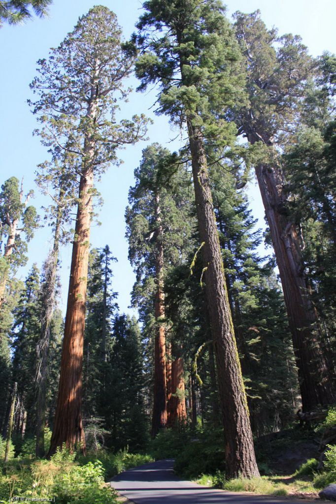USA-West_045