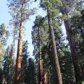 USA-West_045