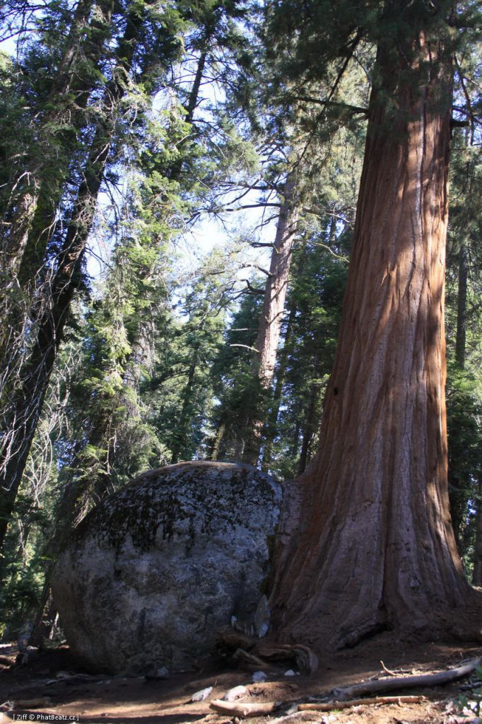 USA-West_046